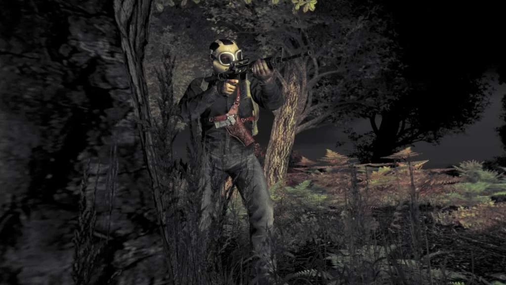 DayZ Steam ROW