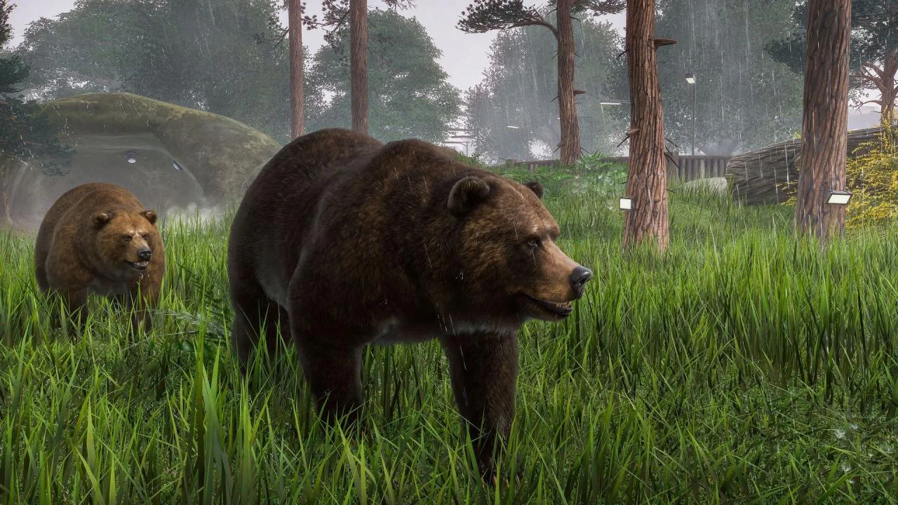 Two grizzly bears in a rainy grass habitat beside a mossy stone cave shelter, tree spotlights in the rain