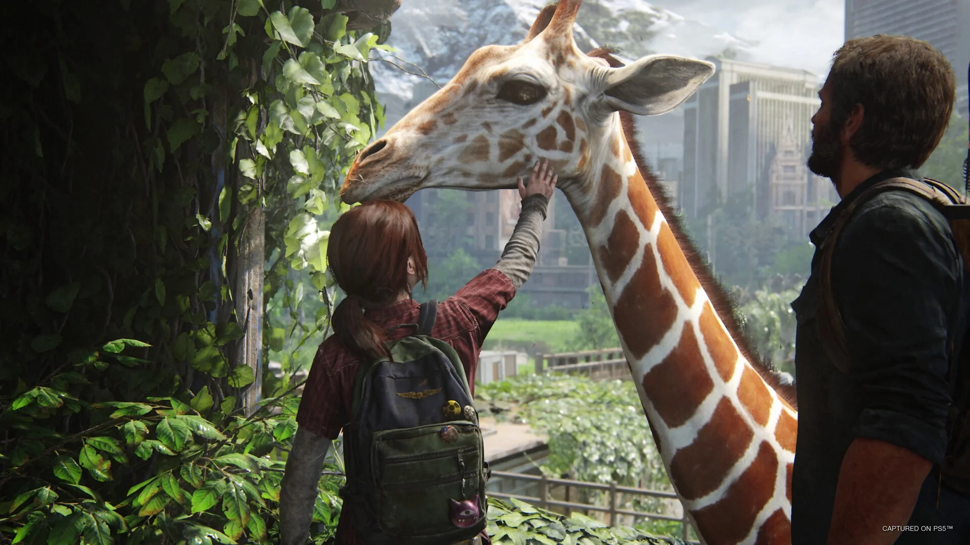 Ellie reaches up to a giraffe in an overgrown city while Joel stands beside her
