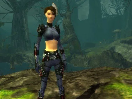 Guild Wars Factions Assassin Ritualist professions combat screenshot