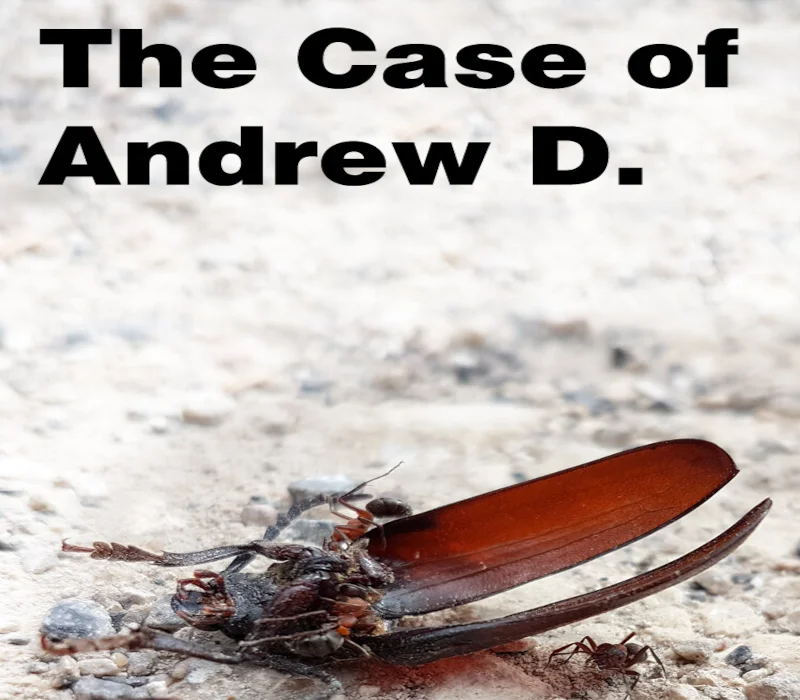The Case of Andrew D. cover, OSINT forensics case