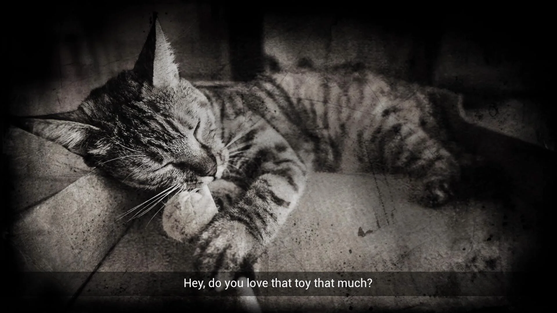 Meowmories Team Memolink cat protagonist memory horror screenshot