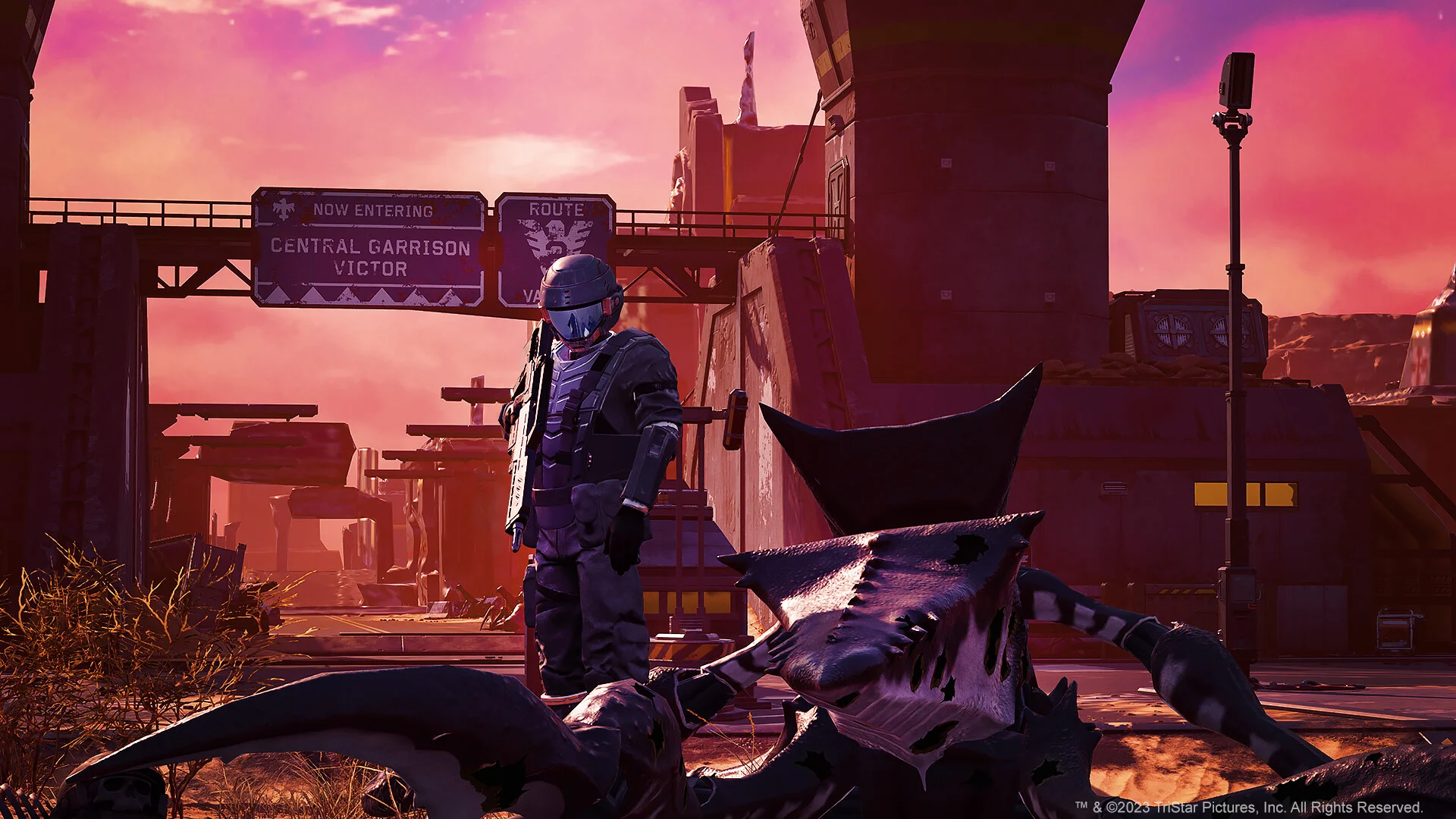 Helmeted trooper standing over a zebra-striped bug corpse under a Central Garrison Victor sign at pink dusk