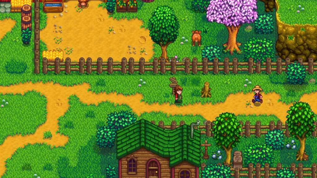 Stardew Valley local wireless farm on Switch 2