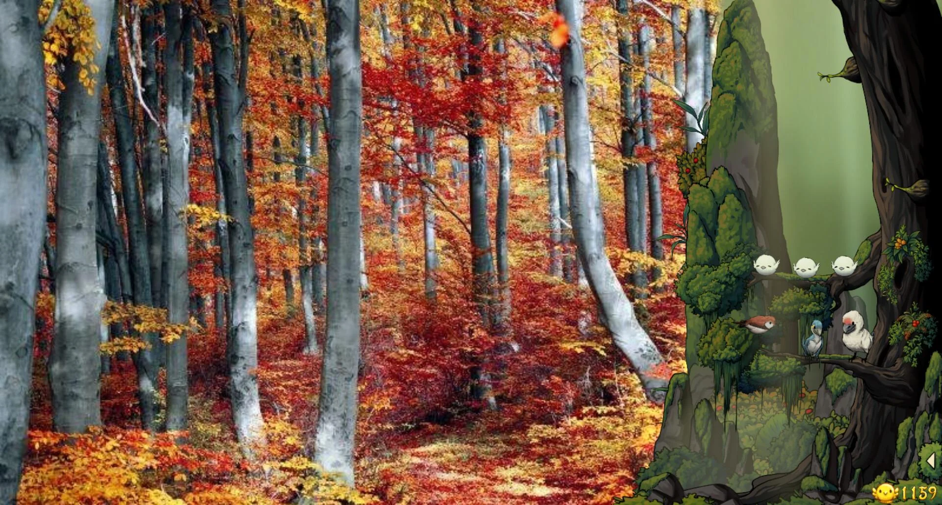 Autumn red aisle, moss tree with chicks sparrow cockatoo, coin 159, green arrow