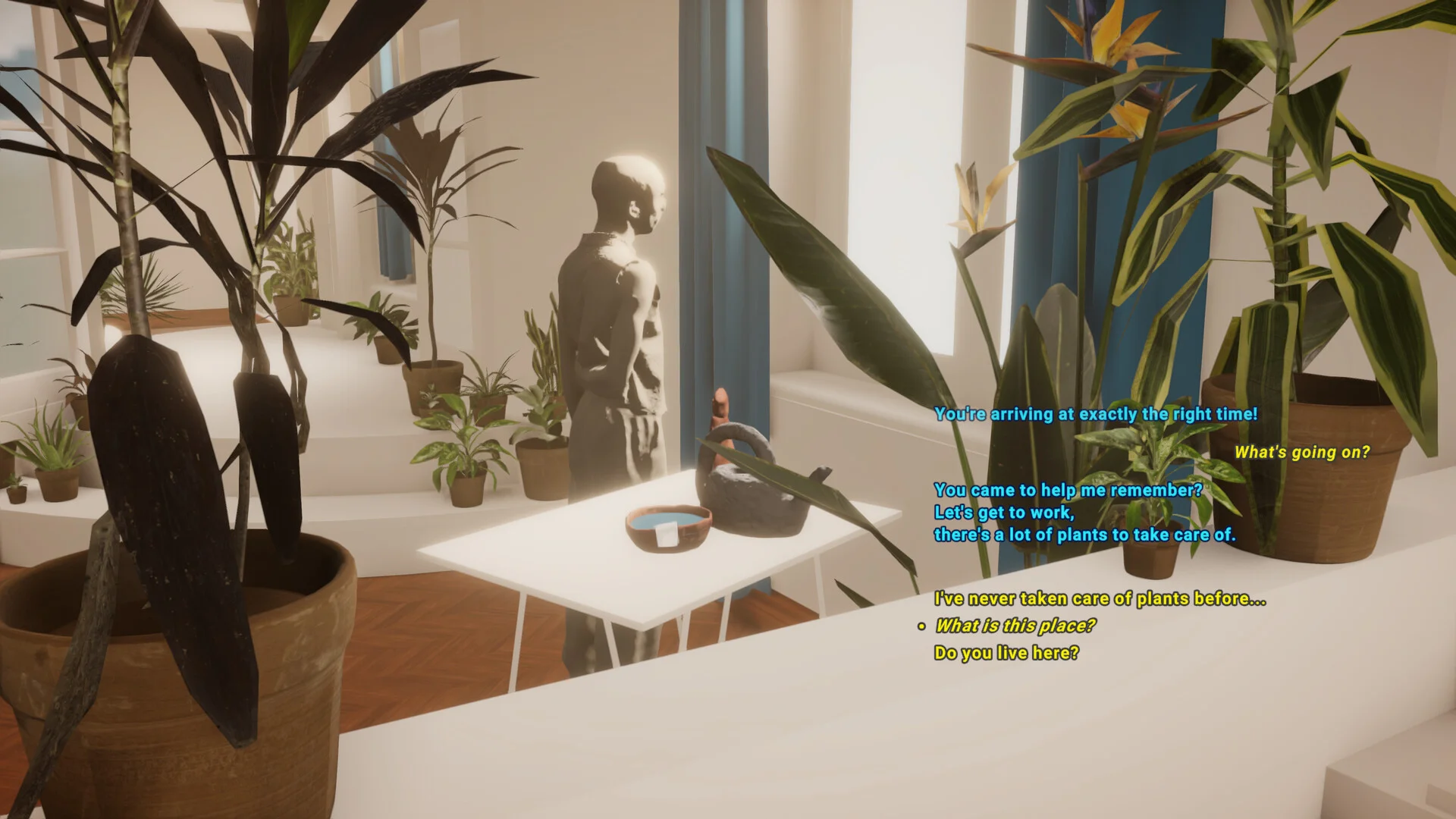 Plum Road Tea Dream virtual grief spaces