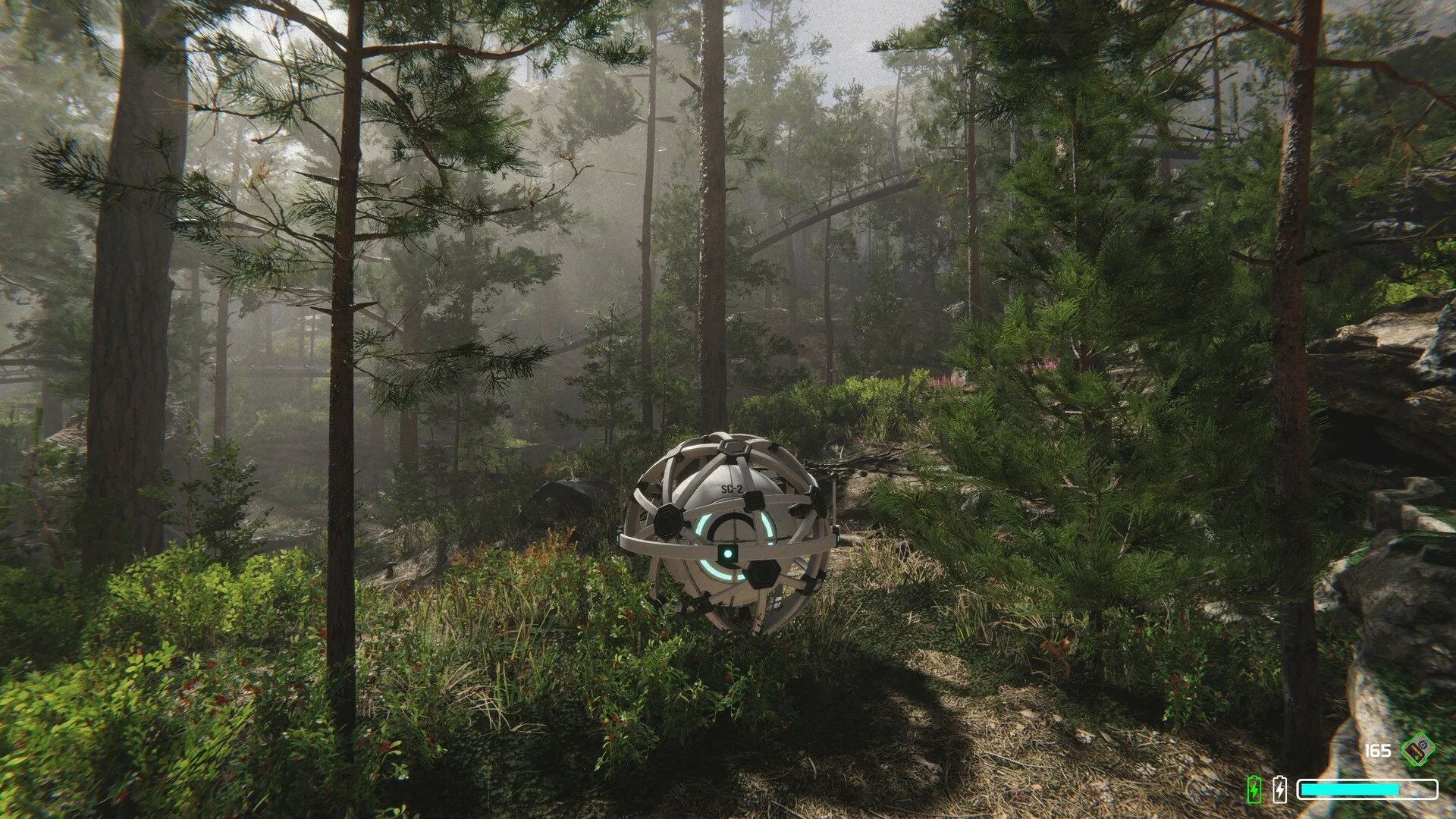 The Core dystopian surface landscape