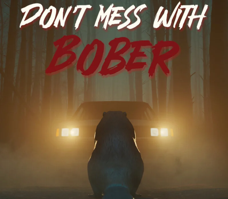 Don't Mess With Bober PlayStation key cover EU