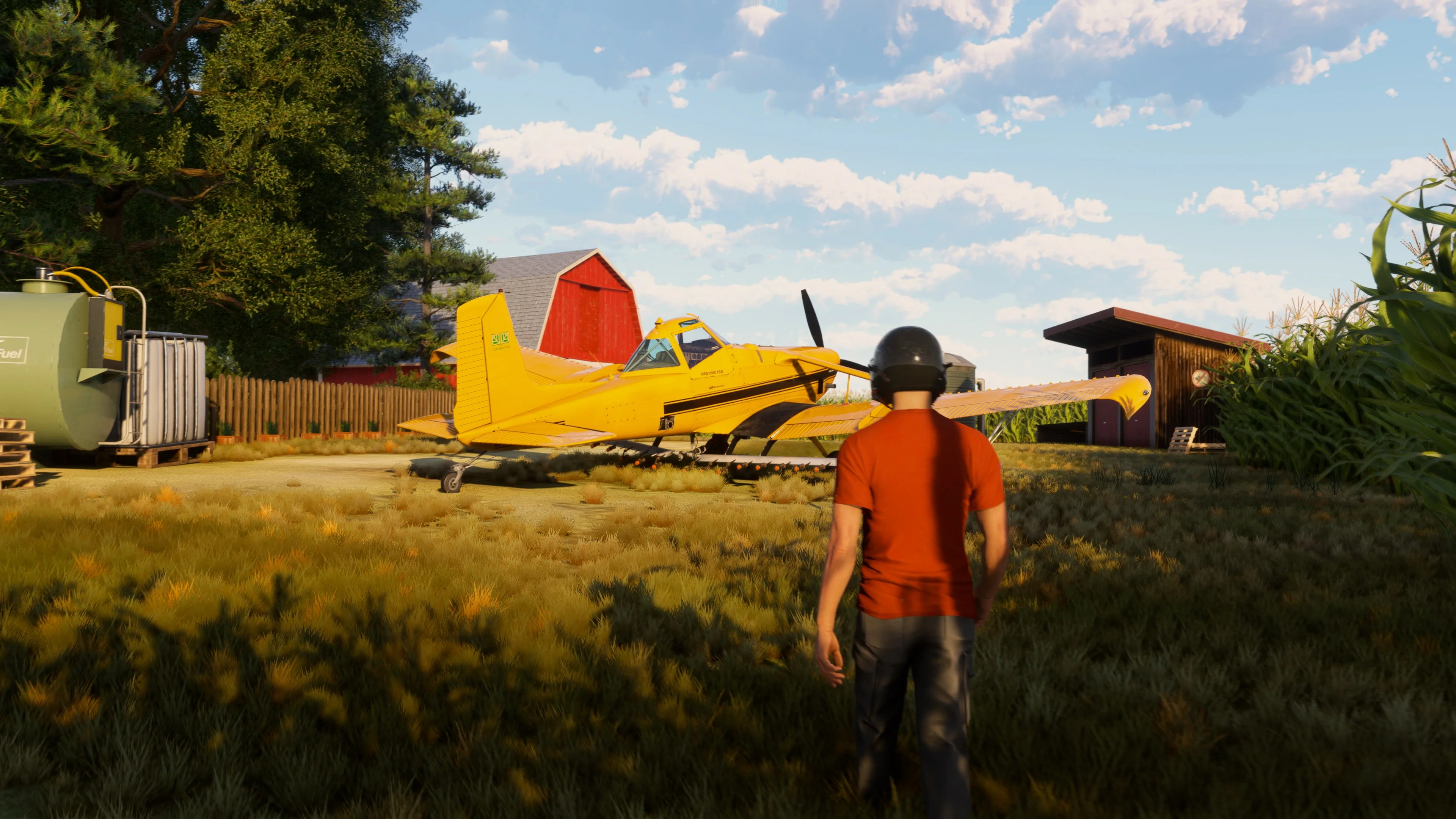 Microsoft Flight Simulator 2024 cross-platform multiplayer flight scene