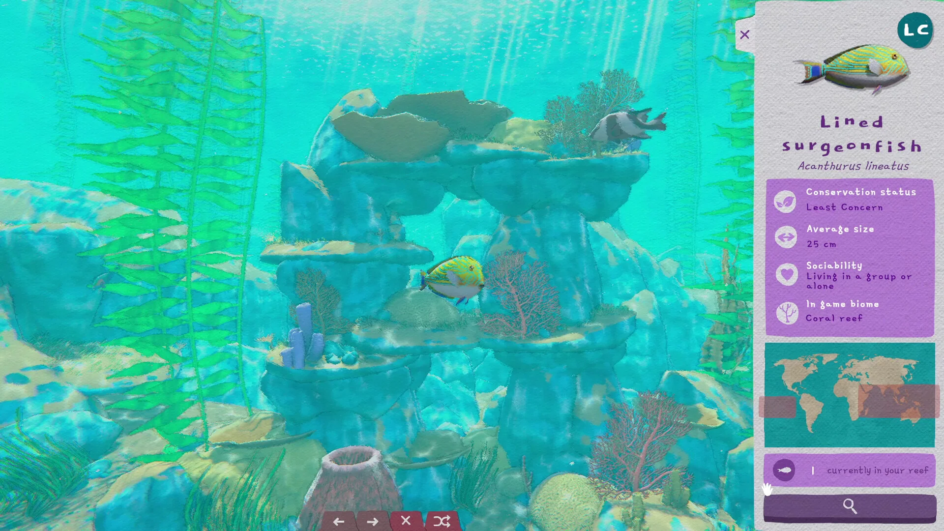 Turquoise marine reef screenshot