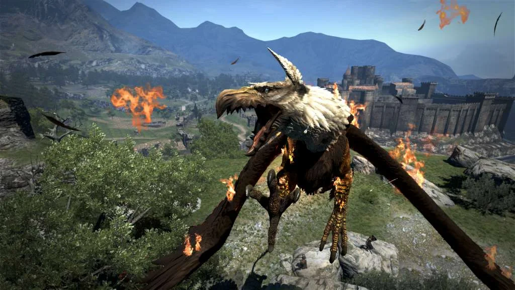 Dragon's Dogma Dark Arisen pawn companions in combat