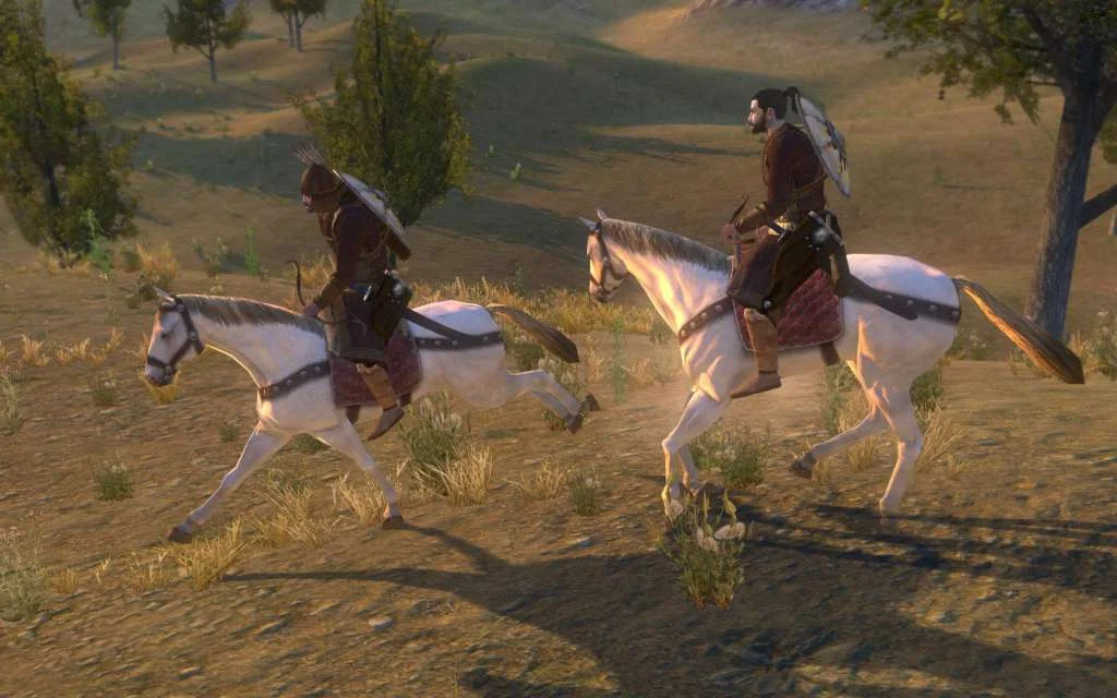 Mount and Blade Warband companion party on the campaign map
