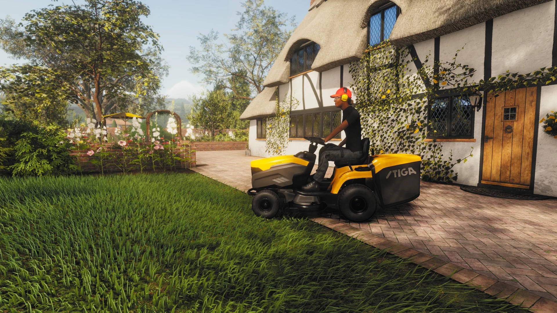 Lawn Mowing professional lawn