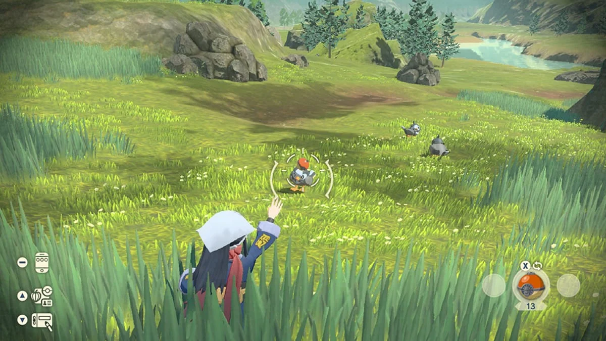 Pokémon Legends Arceus Hisui field survey