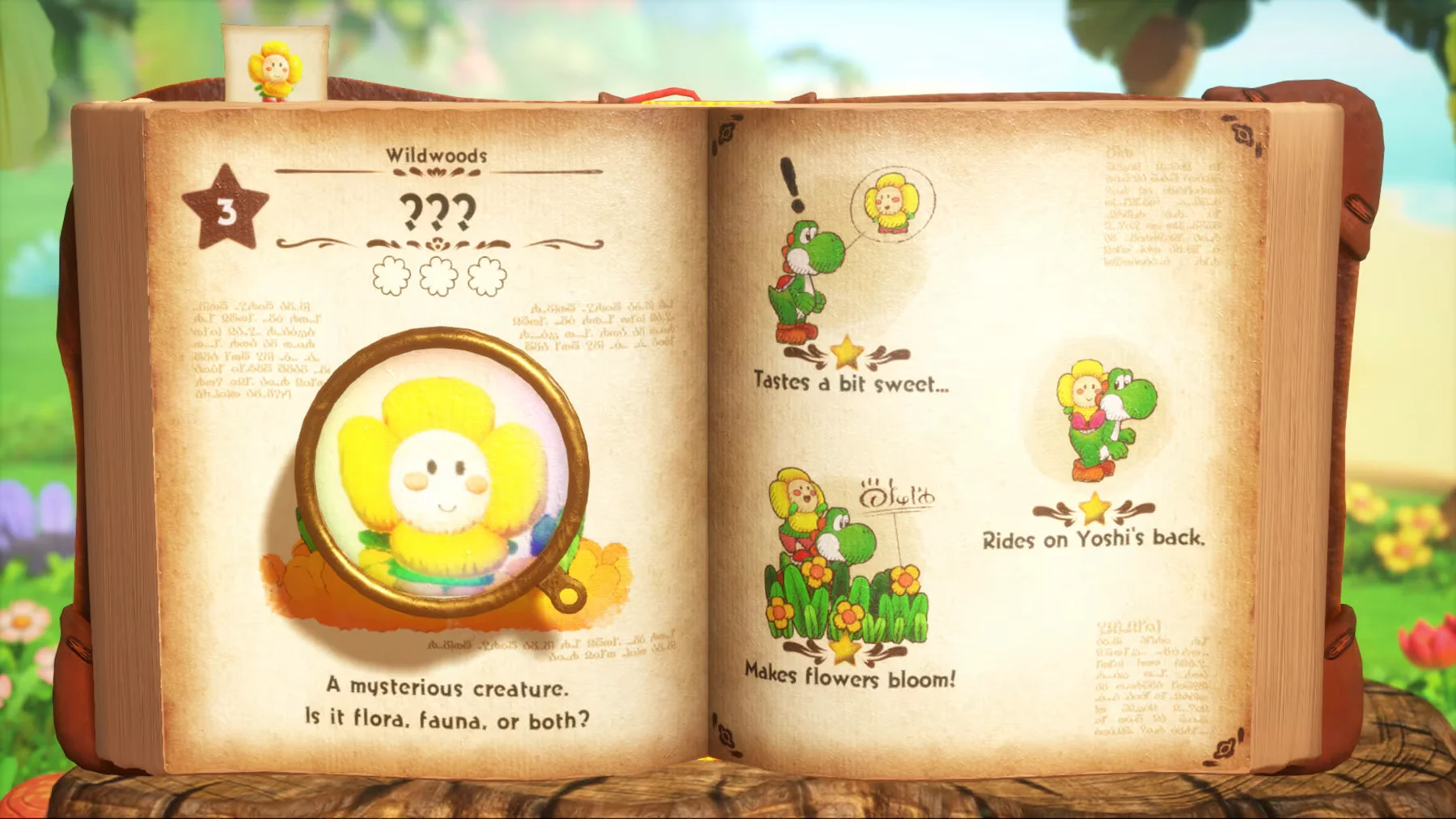 Yoshi and the Mysterious Book US Nintendo Switch 2 CD Key