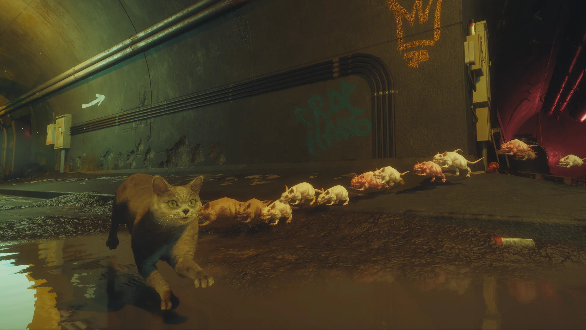 DarkRay spider traps