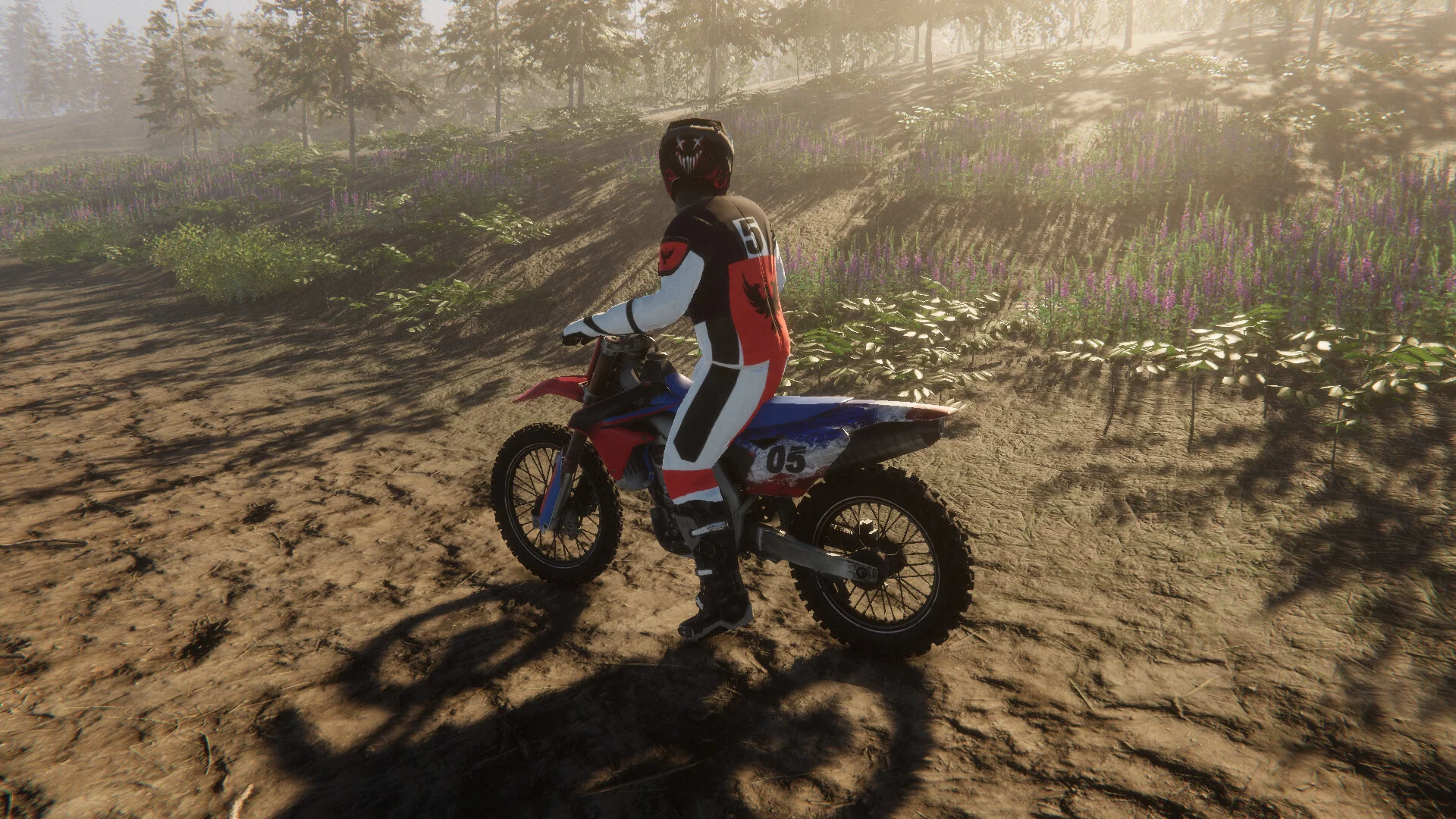 Enduro Unleashed Windows screenshot