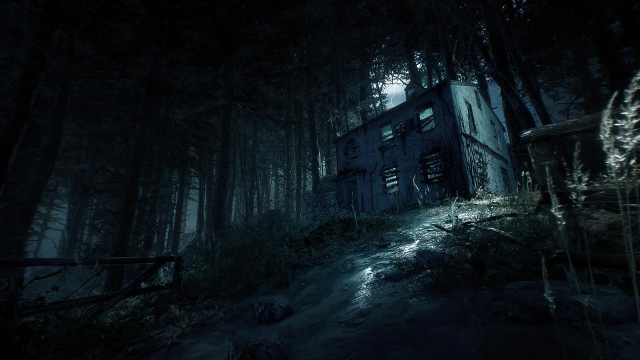 Two-storey boarded house at night, wet path, tall grass and a dark pine stand