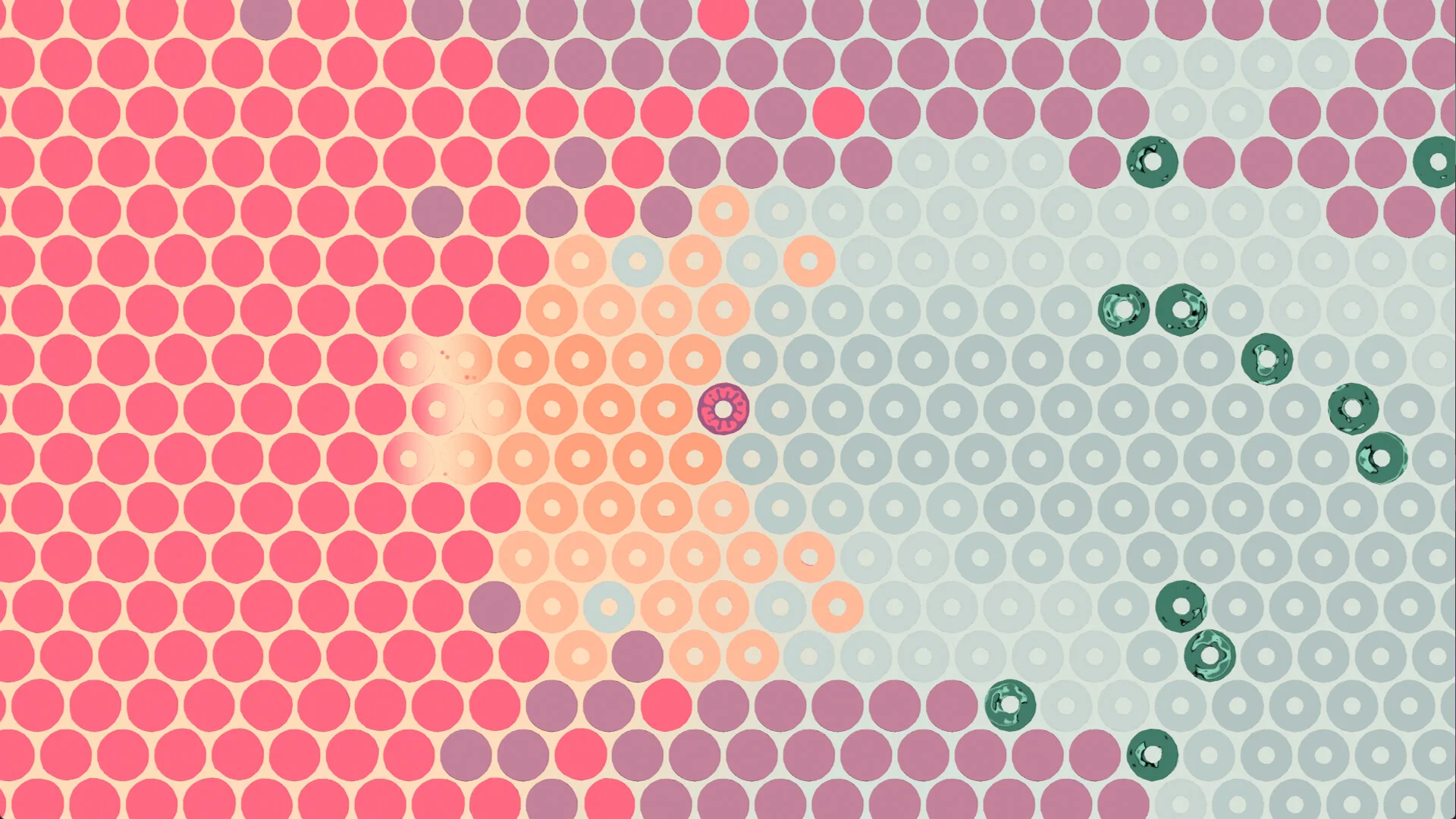 What Surrounds Us environmental puzzles