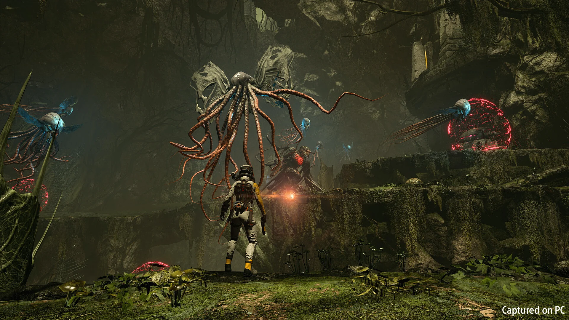 Selene faces a large tentacled creature in a dark forest with floating red orbs
