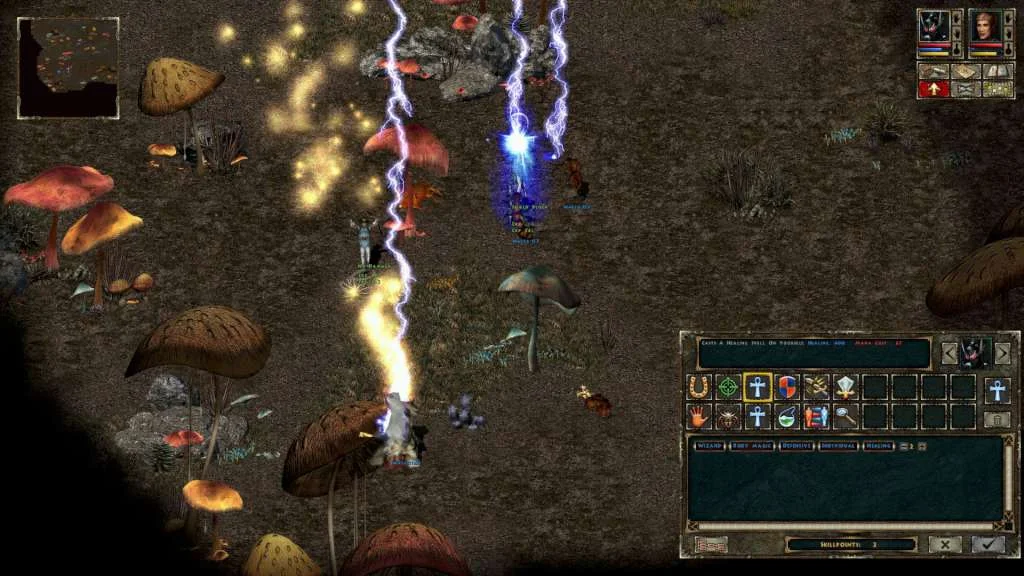 Beyond Divinity isometric fight with both bound heroes