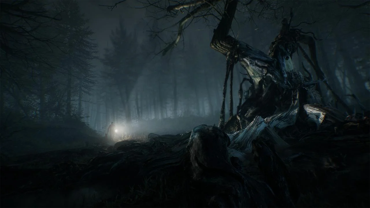 Twisted pale tree in fog, distant figure with a white light, bare branches over black ground