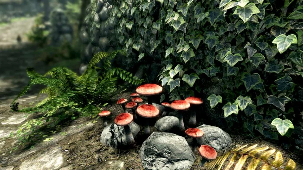 The Elder Scrolls V: Skyrim Special Edition Steam Key ROW gallery screenshot