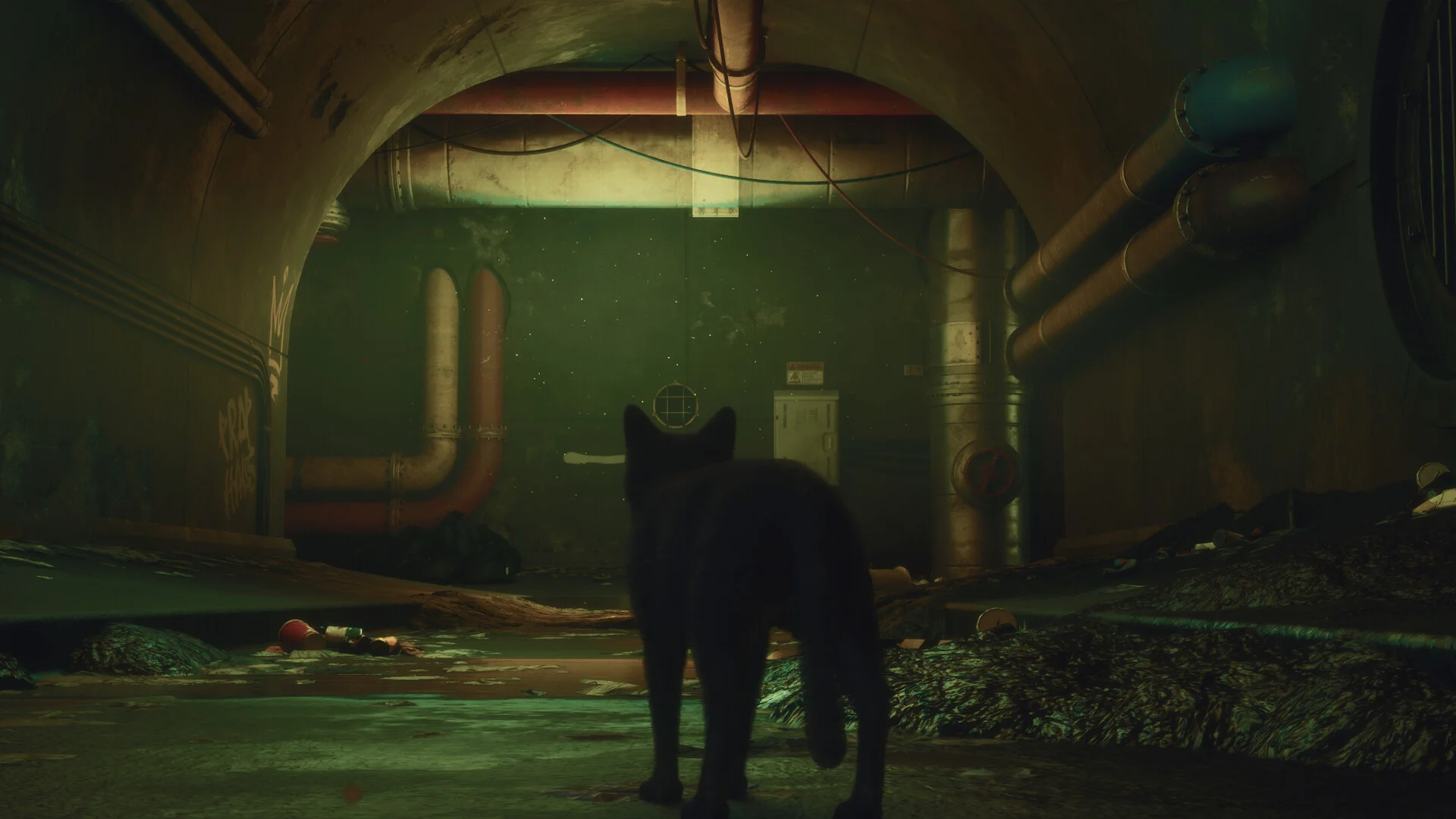 DarkRay mutated rats