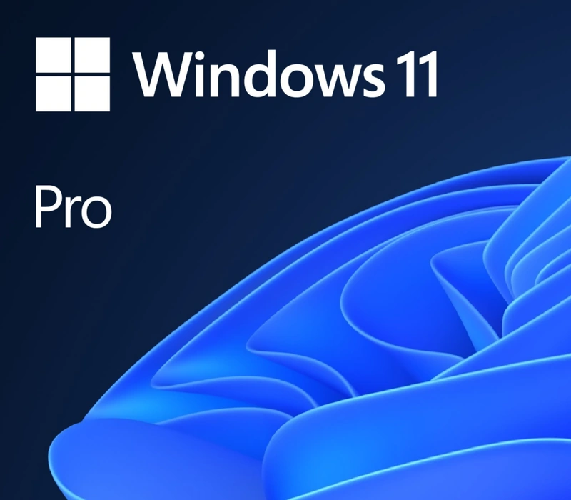 Microsoft Windows 11 Professional