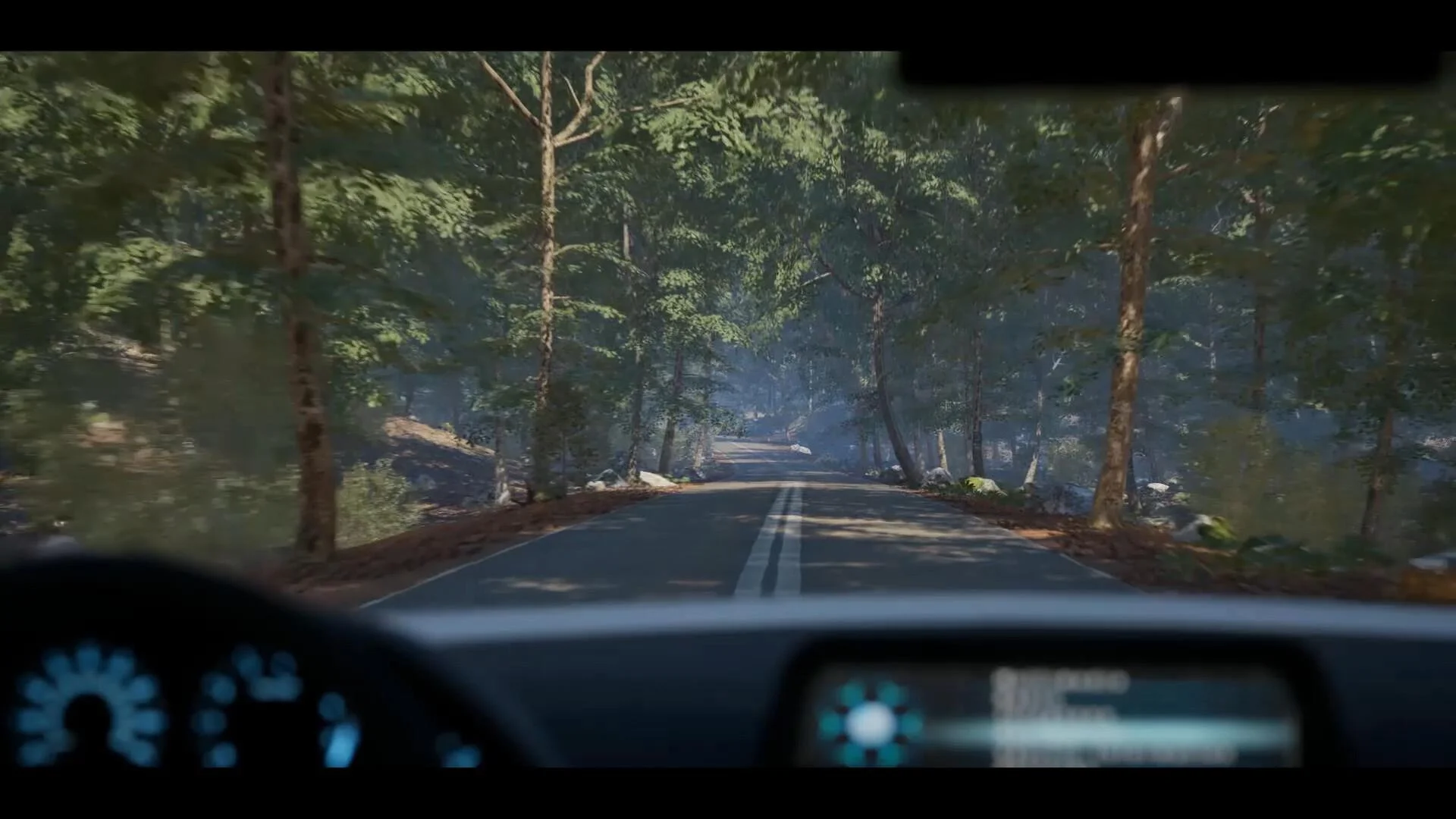 The Evelyn Game Windows Steam one-player narrative screenshot