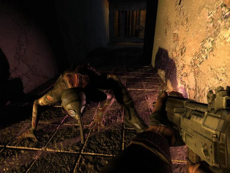 STALKER Chernobyl Zone Steam PC