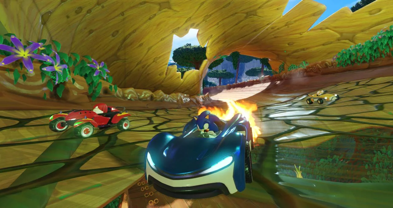 Team Sonic Racing EU Nintendo Switch CD Key