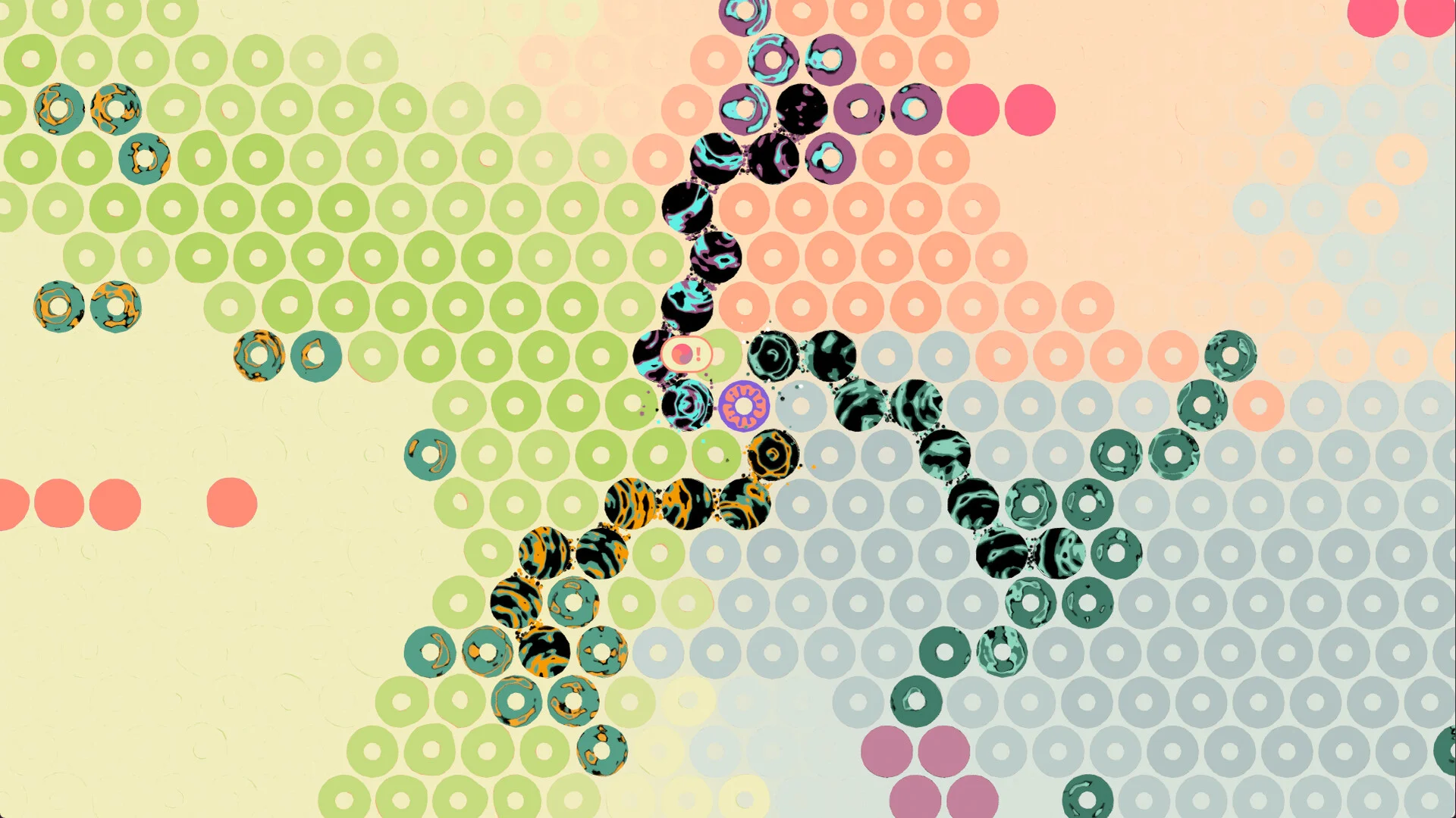 What Surrounds Us three biomes