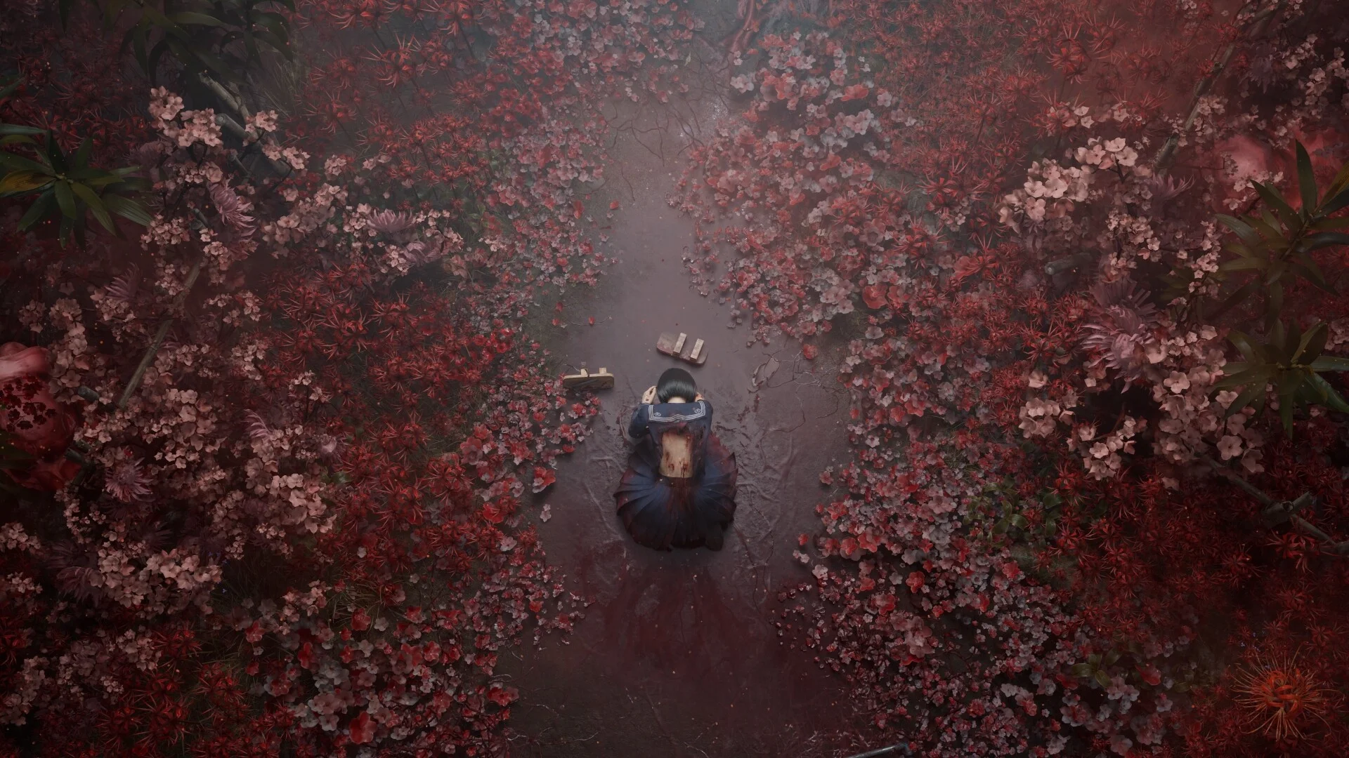 Overhead view of Hinako curled on a path through red spider lilies