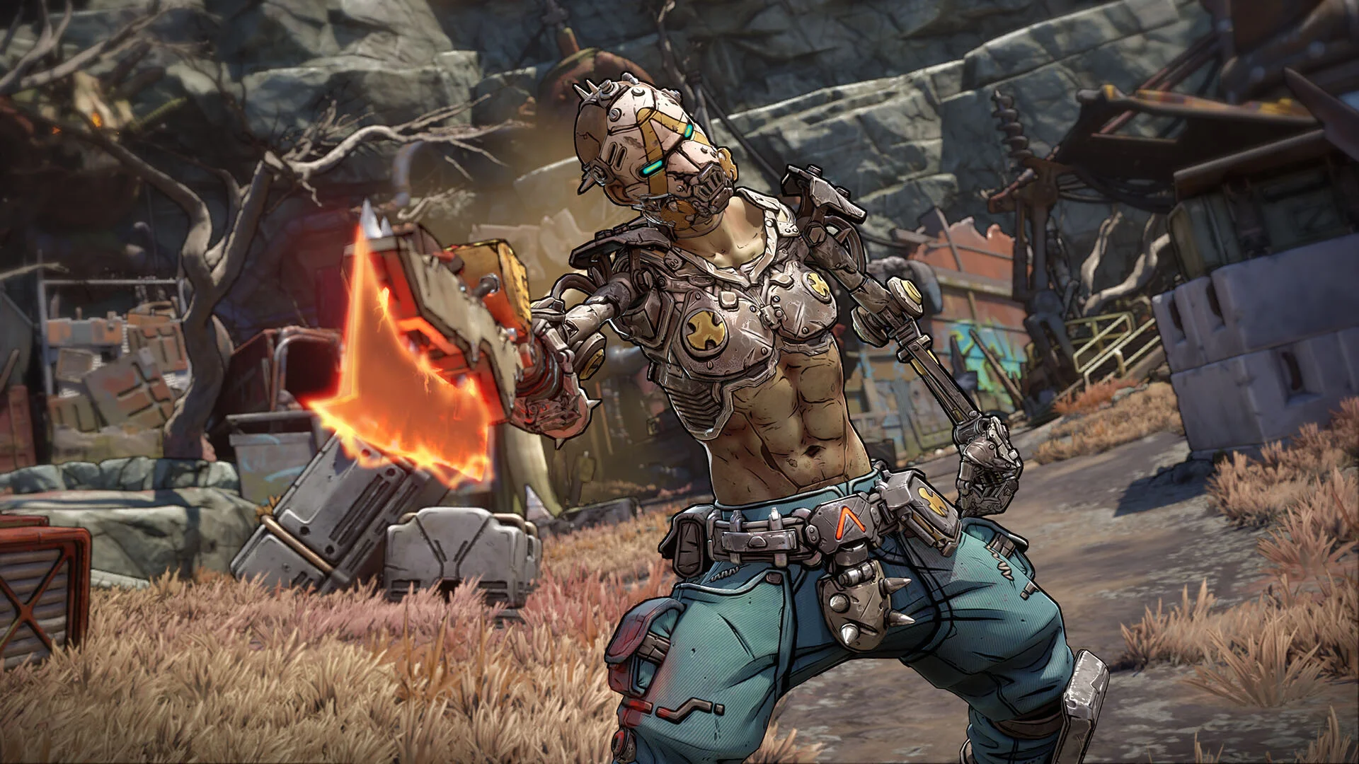 Borderlands 4 Deluxe Edition PC Steam CD Key