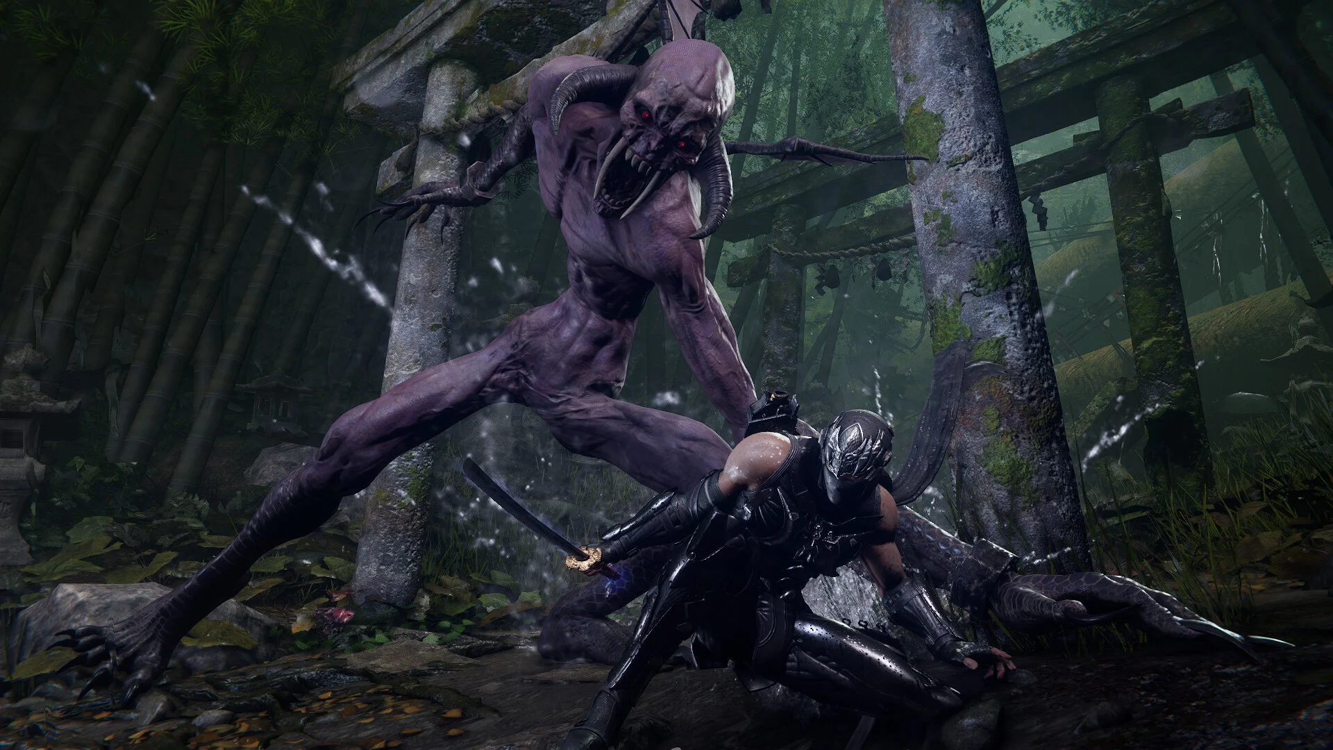 NINJA GAIDEN 4 Deluxe PlayStation US artwork
