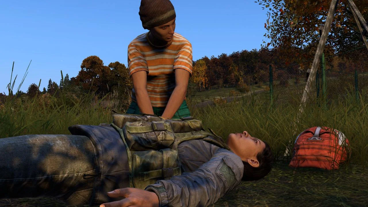 DayZ Chernarus survival screenshot