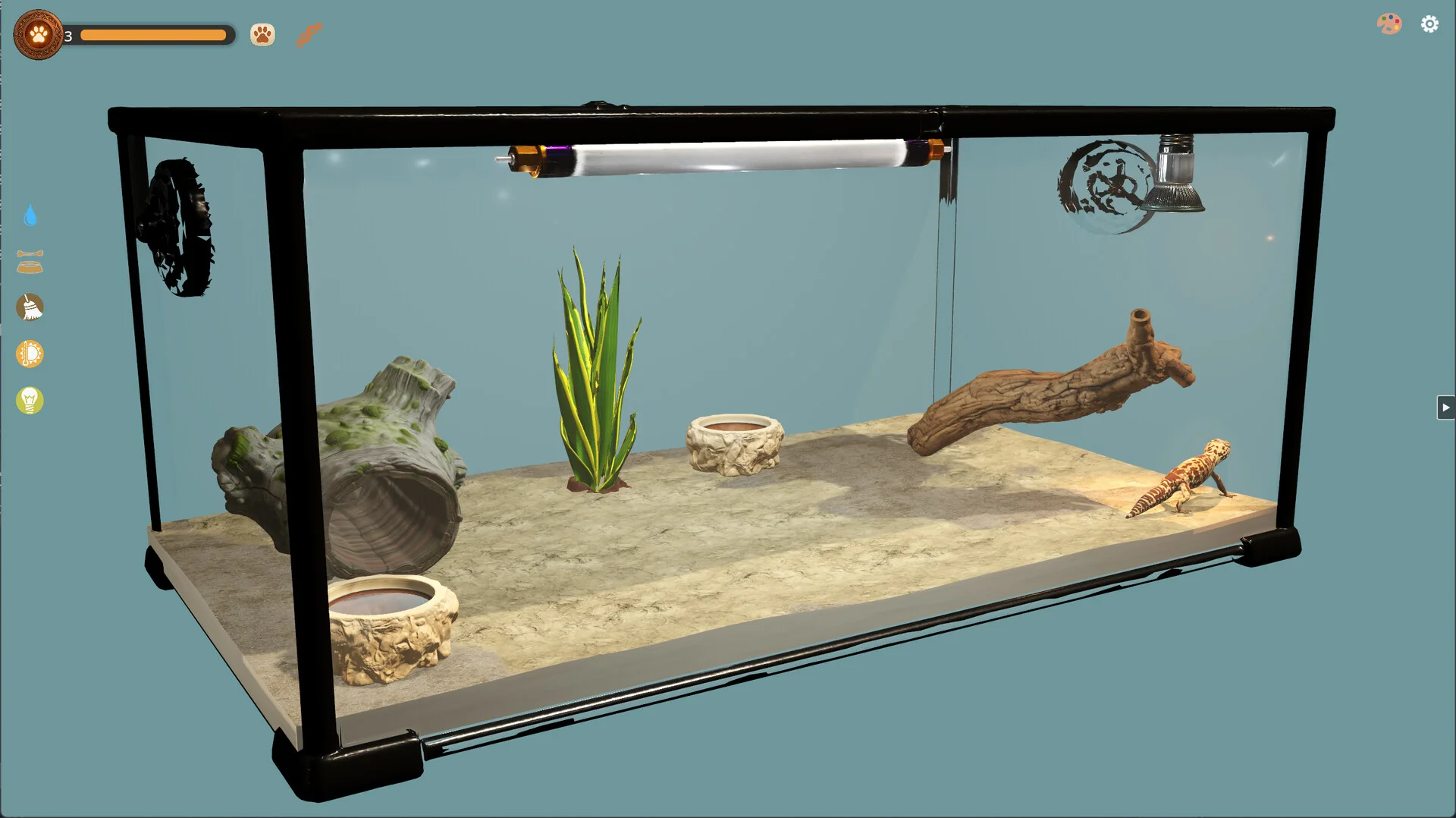Desktop Reptiles enclosure upgrades